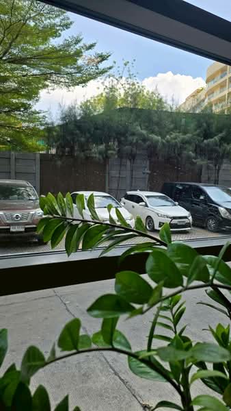 Unixx South Pattaya, Chon Buri (Pattaya), Village No. 12 163, Nong Pru, Bang Lamung (Pattaya), Chon Buri (Pattaya), 1 Bedroom, 32 sqm, Condo For Rent, by ณัฐกฤตยา กีรติอัครกุล, 500244789 - DDproperty.com