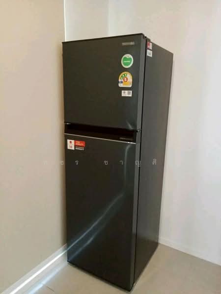 Lumpini Ville Sukhumvit 101/1-Punnawithi : ลุมพินี วิลล์ สุขุมวิท 101/1-ปุณณวิถี, กรุงเทพ, ถนนสุขุมวิท 101/1, บางจาก, พระโขนง, กรุงเทพ, 45 ตร.ม., คอนโด ให้เช่า, โดย พชร ชาญศิริ, 500244825 - DDproperty.com