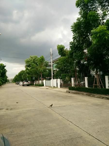 Perfect Place Ramkhamhaeng 164 : เพอร์เฟค เพลส รามคำแหง 164, กรุงเทพ, ซอยรามคำแหง 164, สะพานสูง, สะพานสูง, กรุงเทพ, 320 ตร.ม., บ้านเดี่ยว ให้เช่า, โดย Ramita  Theptham, 500244852 - DDproperty.com