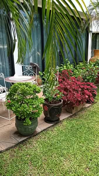 Sunrise Villa Resort Pattaya, Chon Buri (Pattaya), Huai Yai, Bang Lamung (Pattaya), Chon Buri (Pattaya), 2 Bedrooms, 210 sqm, Townhouse For Sale, by Saimaii Russiphat, 500244961 - DDproperty.com