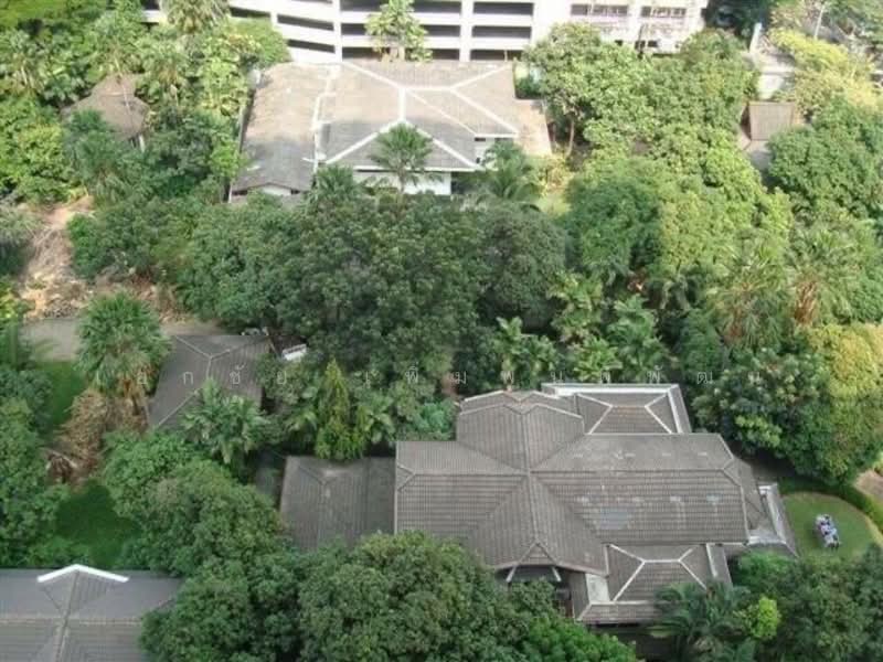 Condo One X Sukhumvit 26 : คอนโด วัน เอ็กซ์ สุขุมวิท 26, กรุงเทพ, ซอยสุขุมวิท 26 ถนนสุขุมวิท, คลองตัน, คลองเตย, กรุงเทพ, 33 ตร.ม., คอนโด ให้เช่า, โดย เอกชัย เพิ่มพูนพิพัฒน์, 500244980 - DDproperty.com