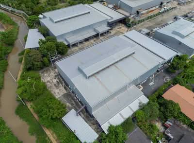 ขาย - ผังสีม่วง ศักยภาพสูง บางเสาธง, สมุทรปราการ