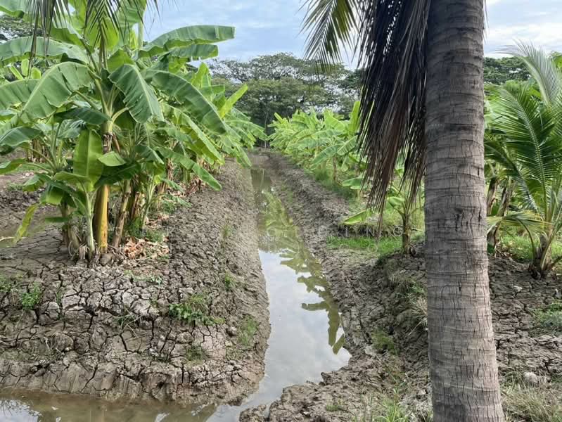 แปลงสวย ทำเลศักยภาพสูง, Samut Sakhon, Tha Mai, Krathum Baen, Samut Sakhon, , 8,024 sqm, Land For Sale, by ERA Holding (Thailand) Co., Ltd., 500245118 - DDproperty.com