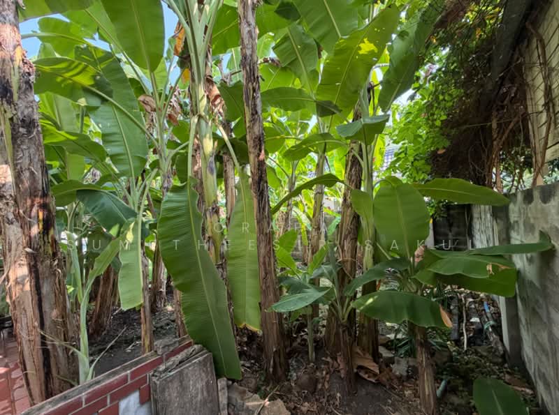 ทาวน์เฮ้าส์ 3-ห้องนอน, กรุงเทพ, เสนานิคม, จตุจักร, กรุงเทพ, 210 ตร.ม., ทาวน์เฮ้าส์ ขาย, โดย Orapa Sumetheesirisakul, 500245153 - DDproperty.com