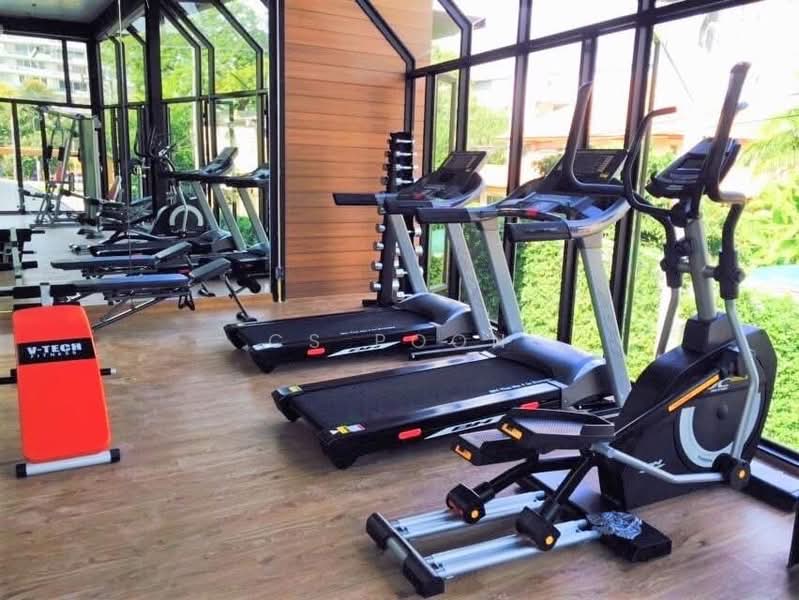 Stylish Condominium, Chiang Mai, 8/1 Chonprathan Road, Su Thep, Muang Chiang Mai, Chiang Mai, 1 Bedroom, 54 sqm, Condo For Sale, by CS Poon, 500245179 - DDproperty.com