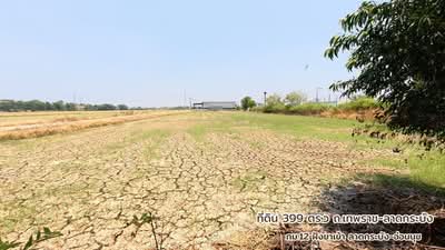 ขาย - ที่ดิน เทพราช-ลาดกระบัง ทล.3001 ถ.เทพราช-ลาดกระบัง ต.เปร็ง อ.บางบ่อ จ.สมุทรปราการ 10560, สมุทรปราการ