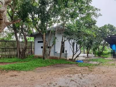 ขาย - ขายโกดัง/โรงงาน เนื้อที่ : 2-3-0 ไร่ ตำบลพงสวาย อำเภอเมืองฯ จังหวัดราชบุรี, ราชบุรี