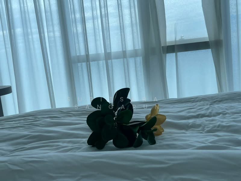 The Palm Wongamat Beach : เดอะ ปาล์ม วงศ์อมาตย์, ชลบุรี, ถนน ซอย นาเกลือ 16, นาเกลือ, บางละมุง, ชลบุรี, 160 ตร.ม., คอนโด ให้เช่า, โดย Supitsara  Sangarun, 500245491 - DDproperty.com