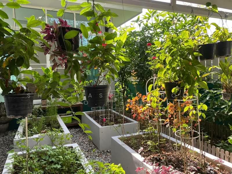 Chokwaree Home San Sai, Chiang Mai, Nong Chom, San Sai, Chiang Mai, 3 Bedrooms, 629 sqm, Single Detached House For Rent, by Shori Asset Group Co., Ltd., 500245504 - DDproperty.com