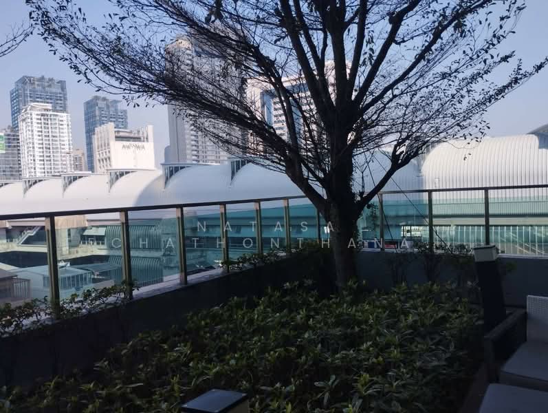 IDEO Verve Ratchaprarop, Bangkok, Ratchaprarop, Makkasan, Ratchathewi, Bangkok, 1 Bedroom, 58 sqm, Condo For Rent, by Natasa Techathonthanakhun, 500245511 - DDproperty.com