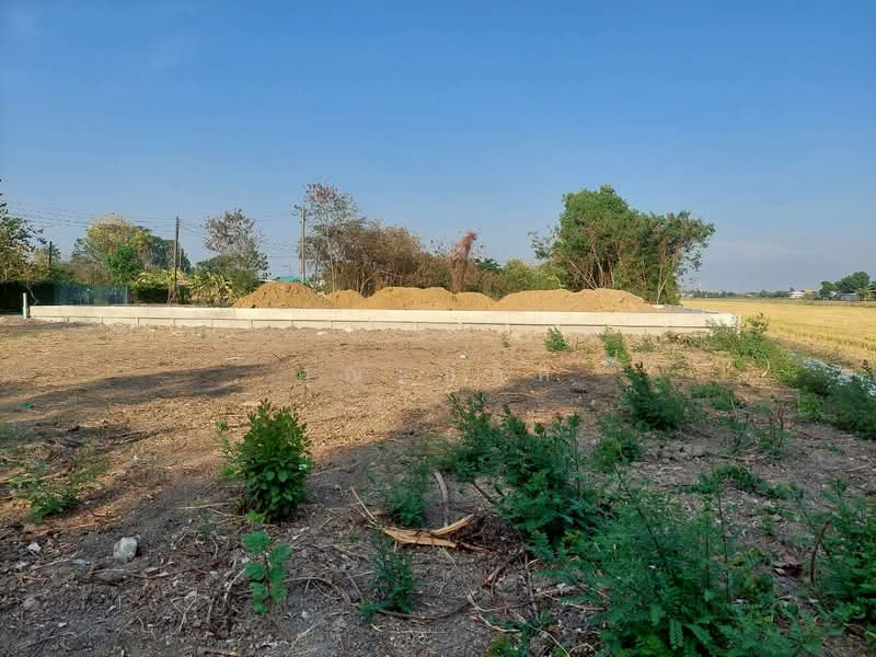 land for sell, Pathum Thani, Bung Kham Proi, Lam Luk Ka, Pathum Thani, , 300 sqm, Land For Sale, by คุณแบล็ค, 500245615 - DDproperty.com