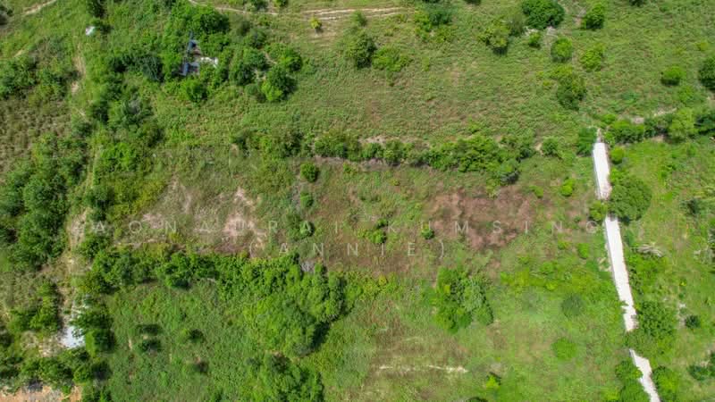 Hua Hin Hidden Gem 2,500,000 Baht Per Rai, Prachuap Khiri Khan, Hua Hin, Hua Hin, Prachuap Khiri Khan, , 4,912 sqm, Land For Sale, by Aonaurai Kumsing (Annie), 500245617 - DDproperty.com