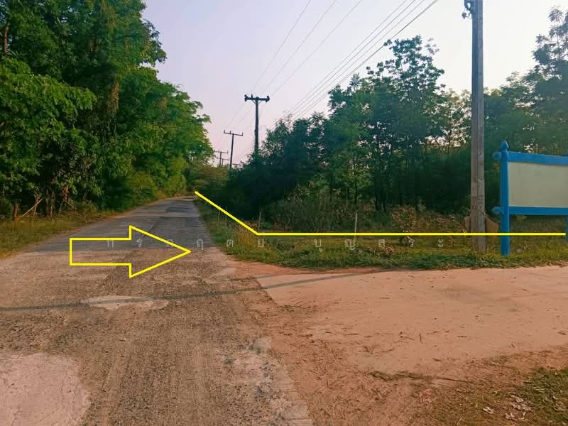 ขาย - ที่ดิน 3-3-63 ไร่ (1,563 ตารางวา) แปลงมุม อำเภอชุมพวง นครราชสีมา, นครราชสีมา