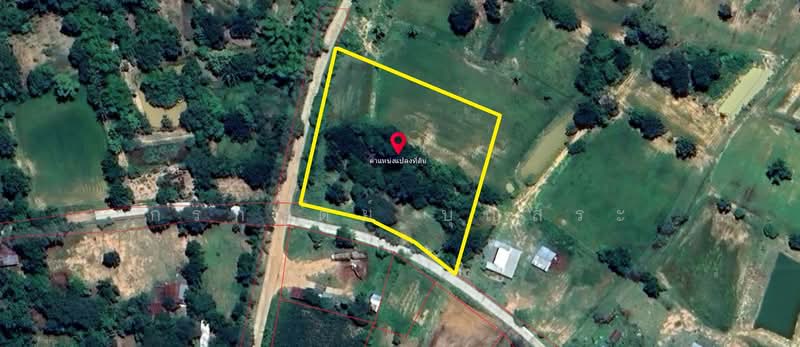 ขาย - ที่ดิน 3-3-63 ไร่ (1,563 ตารางวา) แปลงมุม อำเภอชุมพวง นครราชสีมา, นครราชสีมา