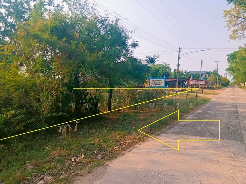 ขาย - ที่ดิน 3-3-63 ไร่ (1,563 ตารางวา) แปลงมุม อำเภอชุมพวง นครราชสีมา, นครราชสีมา