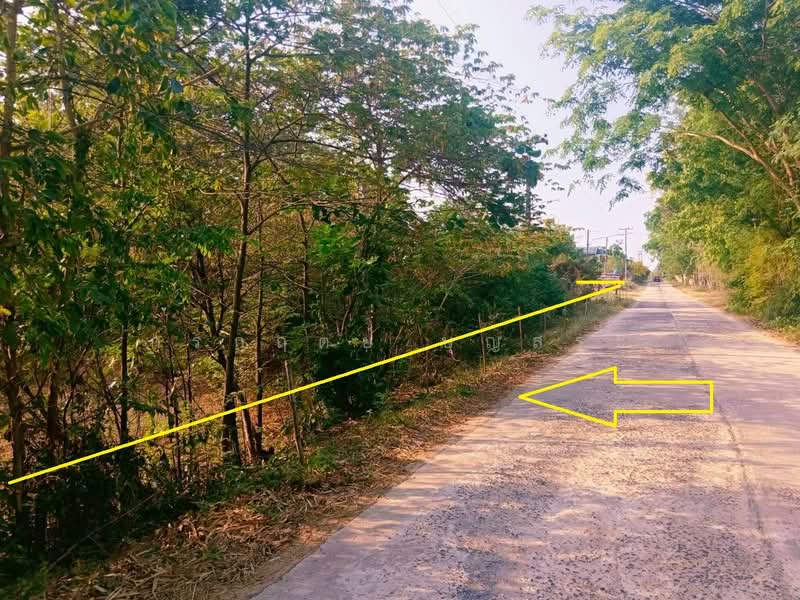 ขาย - ที่ดิน 3-3-63 ไร่ (1,563 ตารางวา) แปลงมุม อำเภอชุมพวง นครราชสีมา, นครราชสีมา