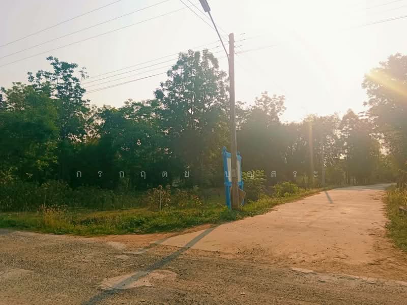 ขาย - ที่ดิน 3-3-63 ไร่ (1,563 ตารางวา) แปลงมุม อำเภอชุมพวง นครราชสีมา, นครราชสีมา