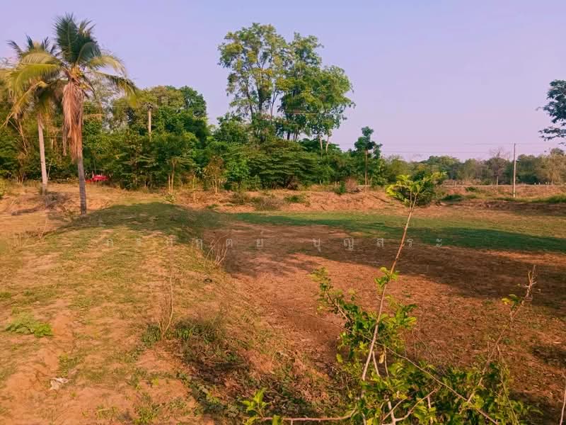 ขาย - ที่ดิน 3-3-63 ไร่ (1,563 ตารางวา) แปลงมุม อำเภอชุมพวง นครราชสีมา, นครราชสีมา