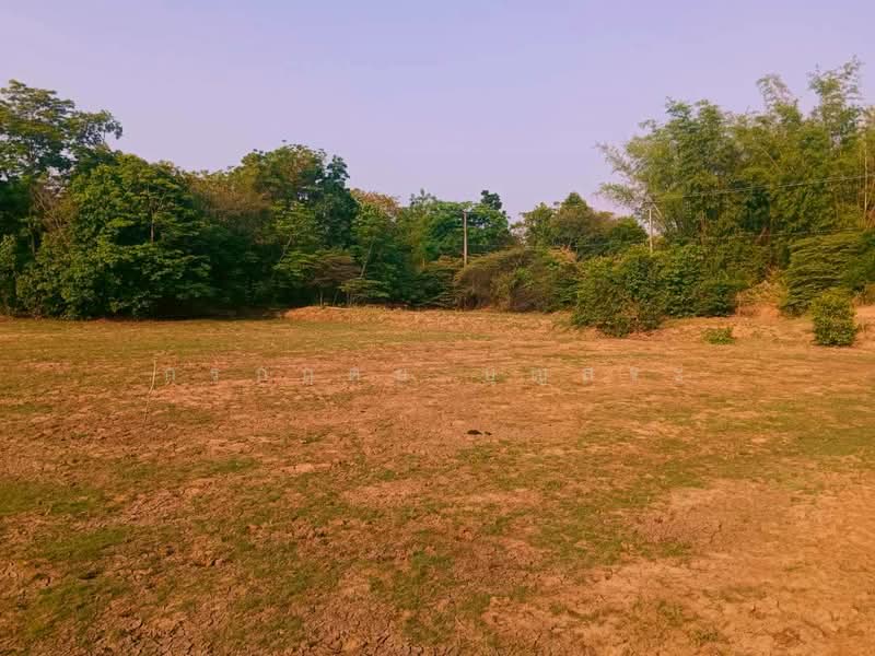 ขาย - ที่ดิน 3-3-63 ไร่ (1,563 ตารางวา) แปลงมุม อำเภอชุมพวง นครราชสีมา, นครราชสีมา