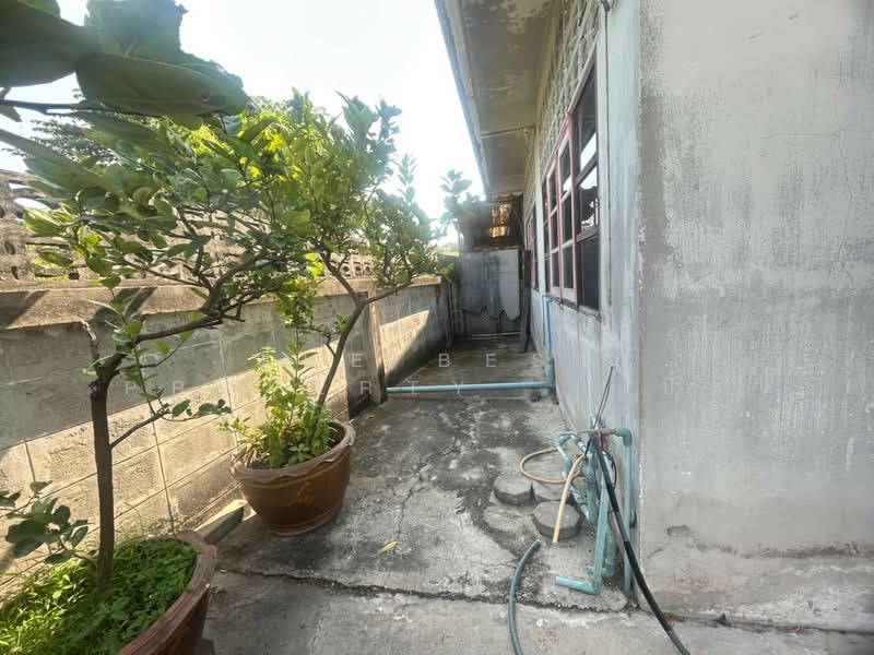 หมู่บ้านตะวันทอง ชลบุรี, Chon Buri (Pattaya), Ban Suan, Muang Chon Buri, Chon Buri (Pattaya), 3 Bedrooms, 120 sqm, Single Detached House For Sale, by The Best Property   เปิ้ล, 500245673 - DDproperty.com