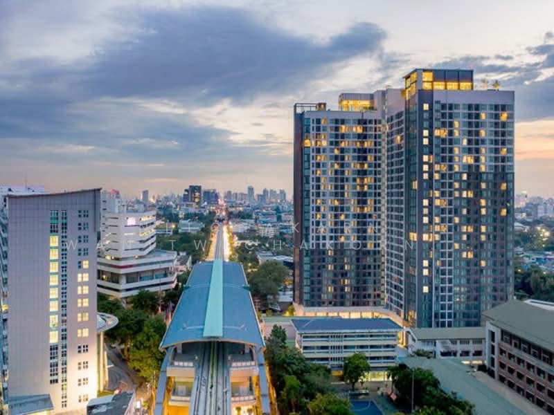 CIELA Sripatum, Bangkok, 2999 Phahonyothin Road, Lat Yao, Chatuchak, Bangkok, 1 Bedroom, 27 sqm, Condo For Sale, by Nitchakarn  Wanitwichakornkit , 500245696 - DDproperty.com