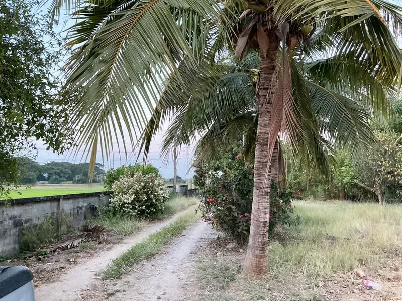 ที่ดินบ้านโป่ง ราชบุรี, ราชบุรี, ท่าผา, บ้านโป่ง, ราชบุรี, 17,884 ตร.ม., ที่ดิน ขาย, โดย The Best Property หมิว, 500245700 - DDproperty.com