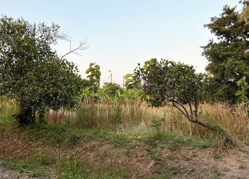 ที่ดินบ้านโป่ง ราชบุรี, Ratchaburi, Tha Pha, Ban Pong, Ratchaburi, , 17,884 sqm, Land For Sale, by The Best Property หมิว, 500245700 - DDproperty.com