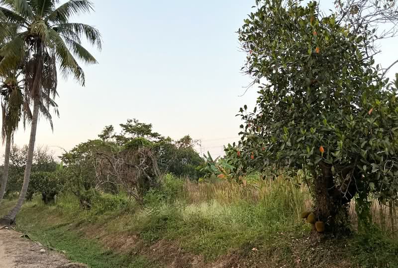 ที่ดินบ้านโป่ง ราชบุรี, Ratchaburi, Tha Pha, Ban Pong, Ratchaburi, , 17,884 sqm, Land For Sale, by The Best Property หมิว, 500245700 - DDproperty.com