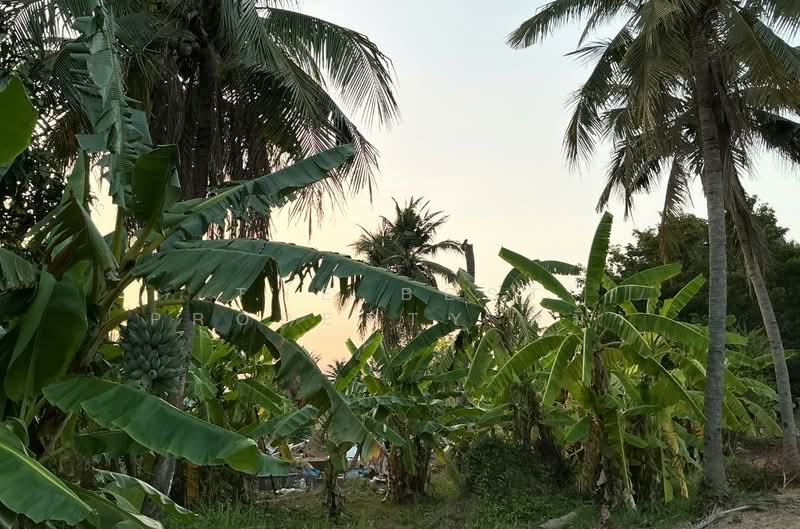 ที่ดินบ้านโป่ง ราชบุรี, Ratchaburi, Tha Pha, Ban Pong, Ratchaburi, , 17,884 sqm, Land For Sale, by The Best Property หมิว, 500245700 - DDproperty.com