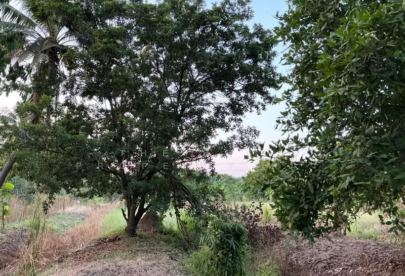 ที่ดินบ้านโป่ง ราชบุรี, Ratchaburi, Tha Pha, Ban Pong, Ratchaburi, , 17,884 sqm, Land For Sale, by The Best Property หมิว, 500245700 - DDproperty.com