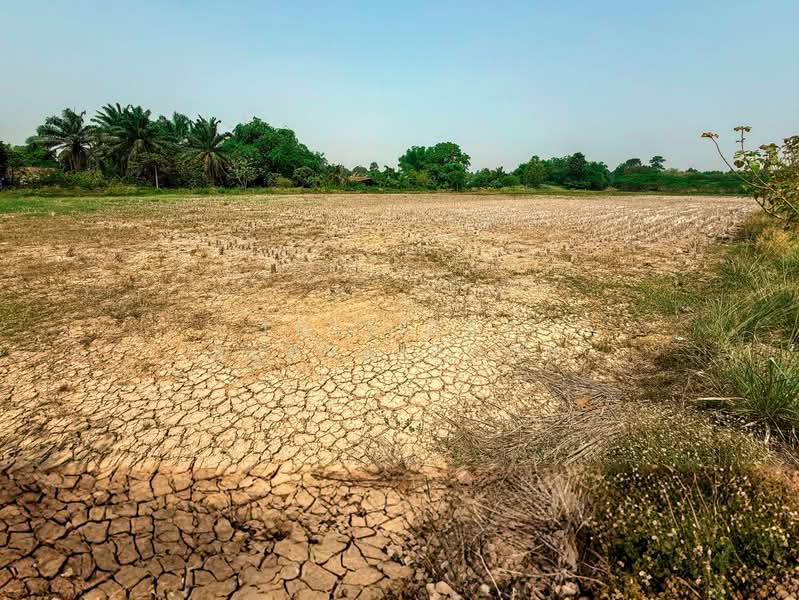 ขาย - ขายที่ดินเปล่า พัฒนาโครงการเกษตรกรรม ซอยวัดศรีโยธิน จ.กำแพงเพชร, กำแพงเพชร