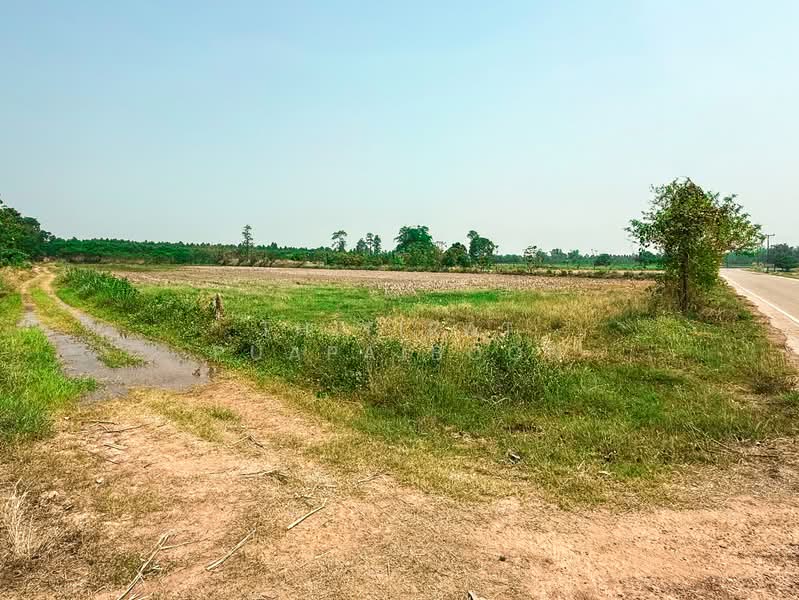 ขาย - ขายที่ดินเปล่า พัฒนาโครงการเกษตรกรรม ซอยวัดศรีโยธิน จ.กำแพงเพชร, กำแพงเพชร