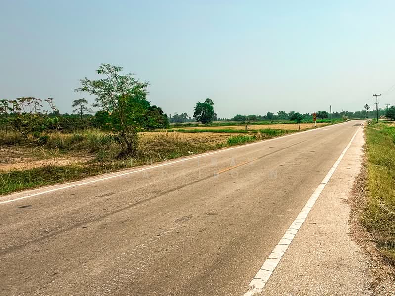 ขาย - ขายที่ดินเปล่า พัฒนาโครงการเกษตรกรรม ซอยวัดศรีโยธิน จ.กำแพงเพชร, กำแพงเพชร