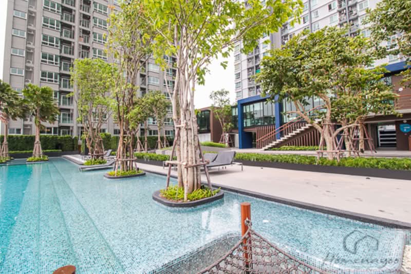 U Delight@Talat Phlu Station, Bangkok, 88 985 Ratchadaphisek Rd, Dao Khanong, Thon Buri, Bangkok, 1 Bedroom, 30 sqm, Condo For Sale, by ช่อทิพย์ จันทวงค์, 500245742 - DDproperty.com