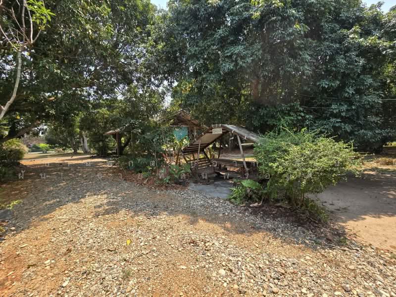 Ornsirin Ville Sansai : อรสิริน วิลล์ สันทราย, เชียงใหม่, หนองหาร, สันทราย, เชียงใหม่, 4,980 ตร.ม., บ้านเดี่ยว ขาย, โดย ริช, 500245778 - DDproperty.com