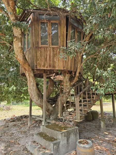 Beautiful Plot for Dream Vacation Home! 3 Rai 45 Sq.Wah, Chiang Mai, Nong Harn, San Sai, Chiang Mai, 2 Bedrooms, 4,980 sqm, Single Detached House For Sale, by ริช, 500245778 - DDproperty.com