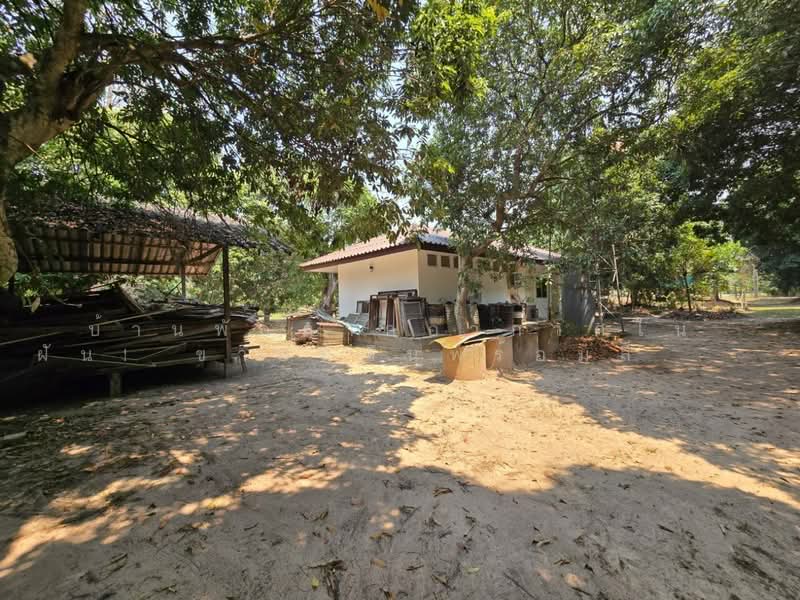 Beautiful Plot for Dream Vacation Home! 3 Rai 45 Sq.Wah, Chiang Mai, Nong Harn, San Sai, Chiang Mai, 2 Bedrooms, 4,980 sqm, Single Detached House For Sale, by ริช, 500245778 - DDproperty.com