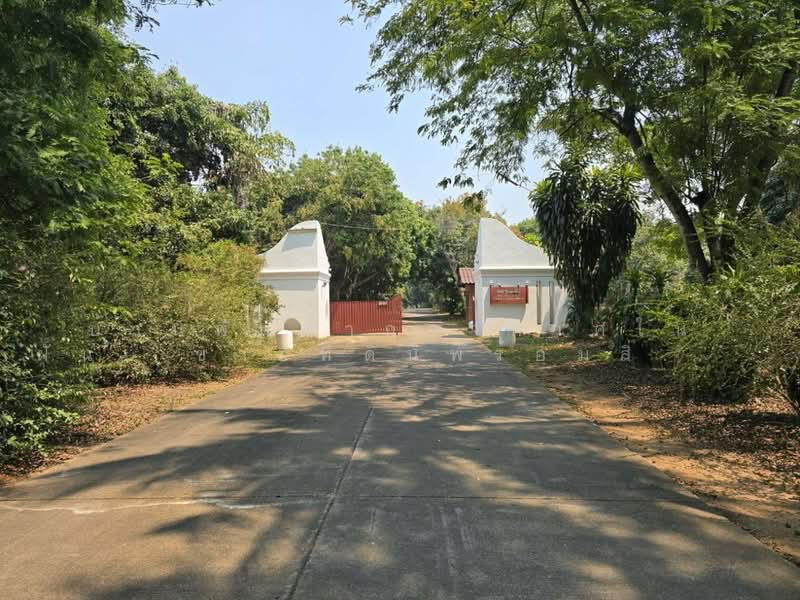 Ornsirin Ville Sansai : อรสิริน วิลล์ สันทราย, เชียงใหม่, หนองหาร, สันทราย, เชียงใหม่, 4,980 ตร.ม., บ้านเดี่ยว ขาย, โดย ริช, 500245778 - DDproperty.com