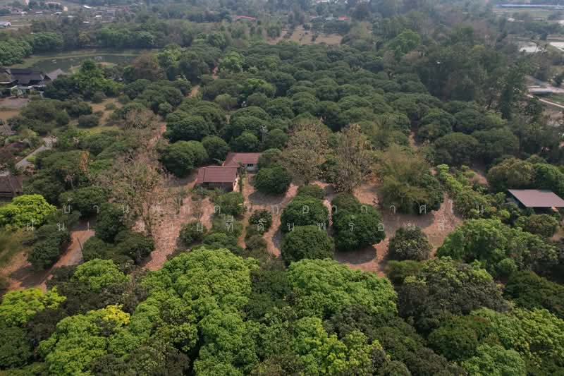 Ornsirin Ville Sansai : อรสิริน วิลล์ สันทราย, เชียงใหม่, หนองหาร, สันทราย, เชียงใหม่, 4,980 ตร.ม., บ้านเดี่ยว ขาย, โดย ริช, 500245778 - DDproperty.com