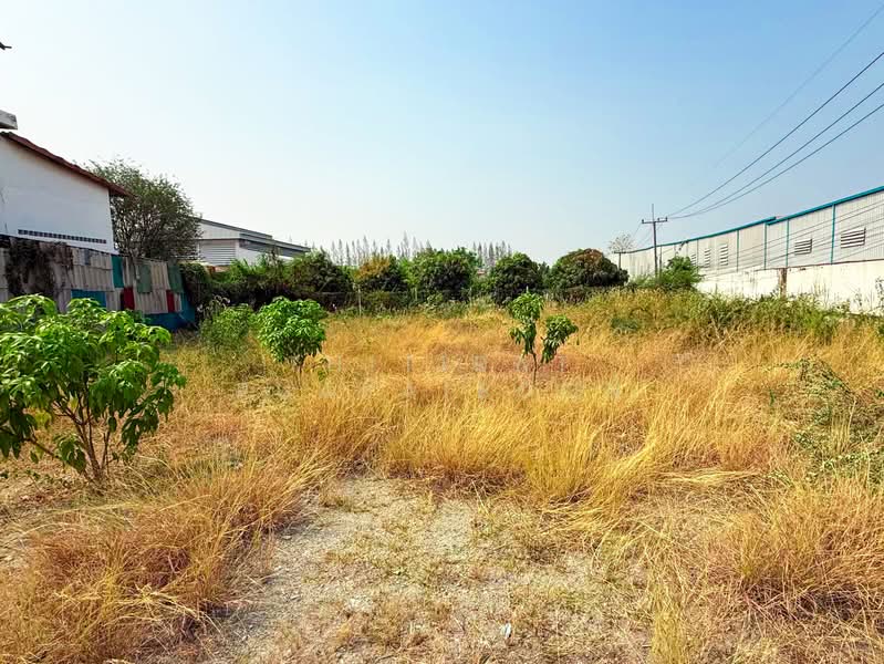 Prime land for sale, Opposite Robinson, Kamphaeng Phet, Kamphaeng Phet, ถนนเจริญสุข, Nai Muang, Muang Kamphaeng Phet, Kamphaeng Phet, , 672 sqm, Land For Sale, by Thitirat Puapaiboon, 500245797 - DDproperty.com