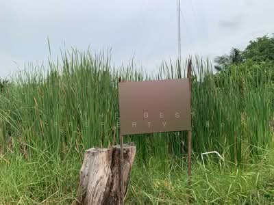 ขาย - ที่ดินหนองจอก กรุงเทพมหานคร, กรุงเทพ