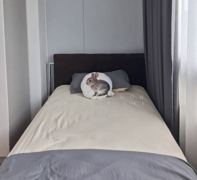 Lumpini Ville Sukhumvit 77, Bangkok, Sukhumvit 77 Road, Suan Luang, Suan Luang, Bangkok, 2 Bedrooms, 67 sqm, Condo For Rent, by Khlueanphon Nukulsirisak, 500245846 - DDproperty.com