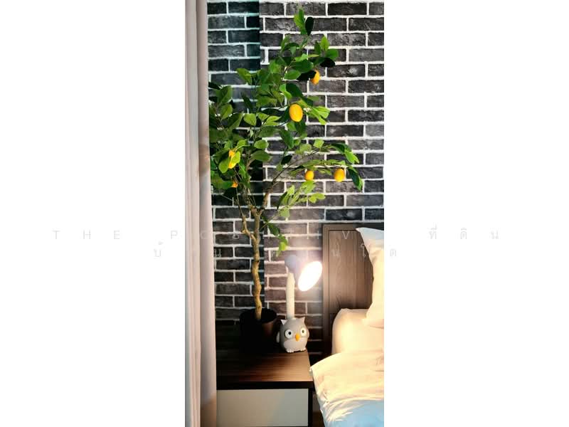 Dcondo Ping, Chiang Mai, 243 Super Highway Road Chiang Mai - Lampang, Fa Ham, Muang Chiang Mai, Chiang Mai, Studio, 30 sqm, Condo For Rent, by The Positive ที่ดิน บ้าน คอนโด, 500245866 - DDproperty.com