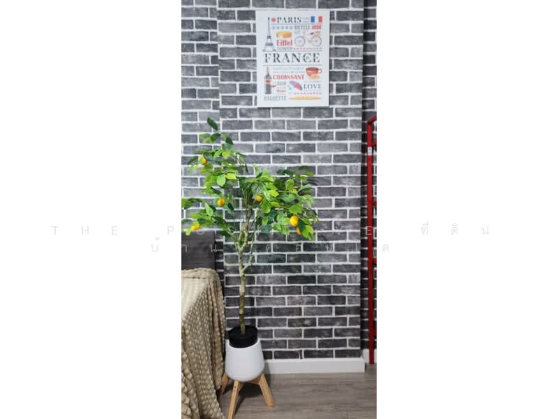 ให้เช่า - Dcondo Ping : ดีคอนโดพิงค์, เชียงใหม่