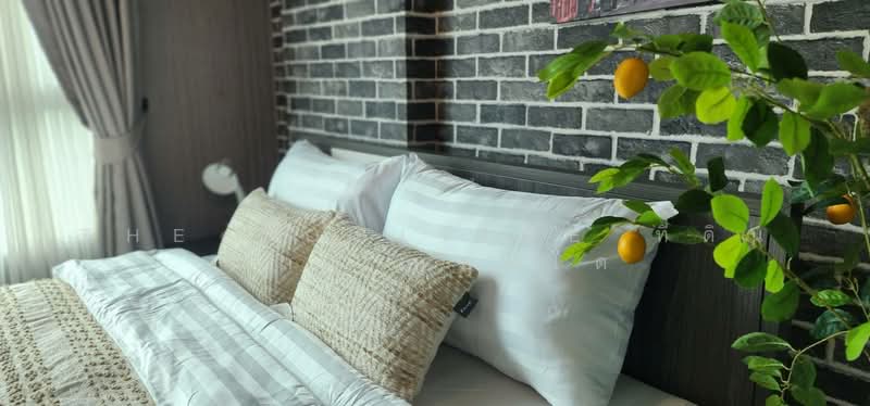 Dcondo Ping, Chiang Mai, 243 Super Highway Road Chiang Mai - Lampang, Fa Ham, Muang Chiang Mai, Chiang Mai, Studio, 30 sqm, Condo For Rent, by The Positive ที่ดิน บ้าน คอนโด, 500245866 - DDproperty.com