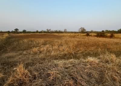ขาย - ที่ดินคอนช้าง ขอนแก่น, ขอนแก่น