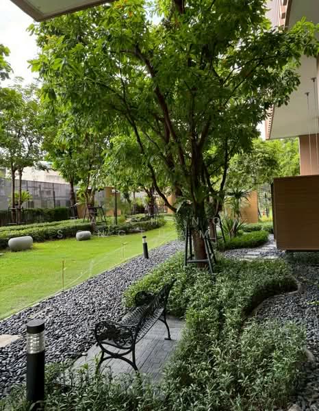 M Jatujak, Bangkok, Phahonyothin Road, Chatuchak, Chatuchak, Bangkok, 1 Bedroom, 36 sqm, Condo For Rent, by Ratchanon Songthammakul, 500245963 - DDproperty.com