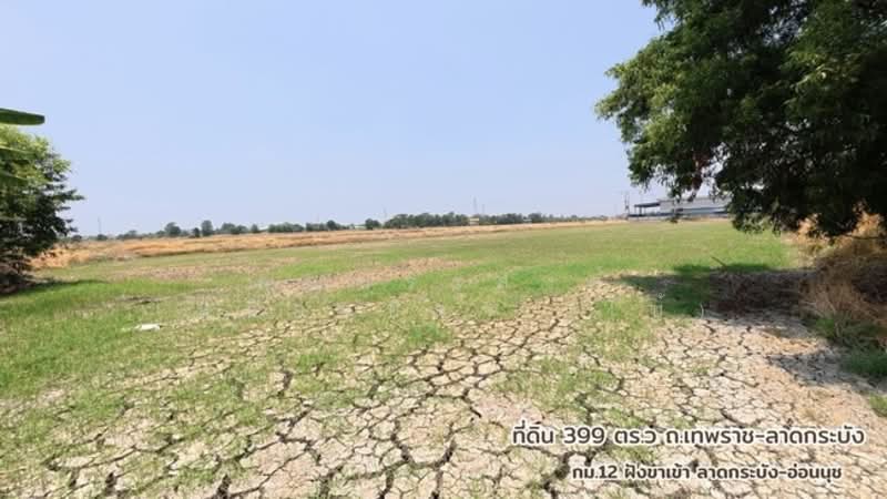 ขาย - ที่ดินติดถนนเทพราช-ลาดกระบัง ถ.เทพราช-ลาดกระบัง ต.เปร็ง อ.บางบ่อ จ.สมุทรปราการ 10560, สมุทรปราการ