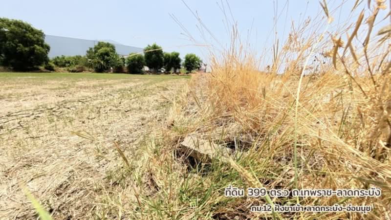 ขาย - ที่ดินติดถนนเทพราช-ลาดกระบัง ถ.เทพราช-ลาดกระบัง ต.เปร็ง อ.บางบ่อ จ.สมุทรปราการ 10560, สมุทรปราการ