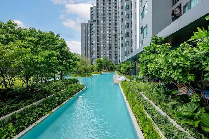 Life Sathorn Sierra, Bangkok, Ratchaphruek Rd, Talat Plu, Thon Buri, Bangkok, 1 Bedroom, 32 sqm, Condo For Rent, by Tanakrit Chotbuddkayan, 500246231 - DDproperty.com